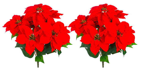 acquista Set 2 Cespugli Stella Natale con 7 Fiori H50 cm Rosso