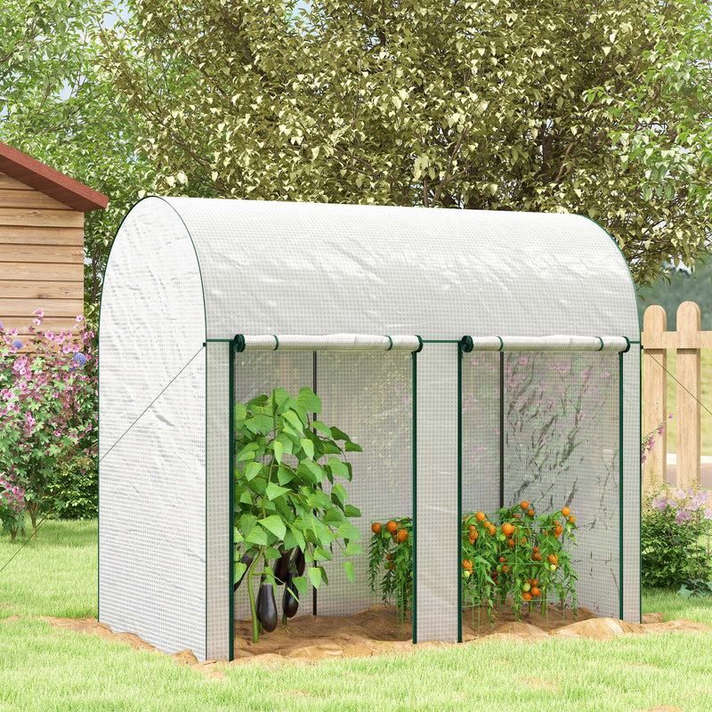 Serra da Giardino 2 m² 200x100x178 cm 2 Porte Avvolgibili Copertura in PE Bianco  -2