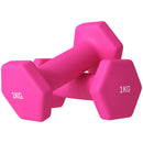 Set 2 Manubri Palestra 1 kg Pesi esagonali per Allenamento Rosa-1