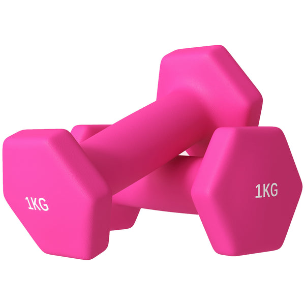 Set 2 Manubri Palestra 1 kg Pesi esagonali per Allenamento Rosa sconto