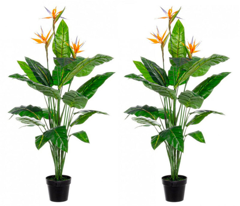 Set 2 Piante Artificiali Strelitzia 70x70x150 cm in Plastica con Vasi Verde-1