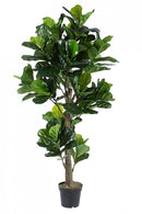 Pianta Artificiale Ficus Lyrata 153 Foglie H190 con Vaso Verde-1