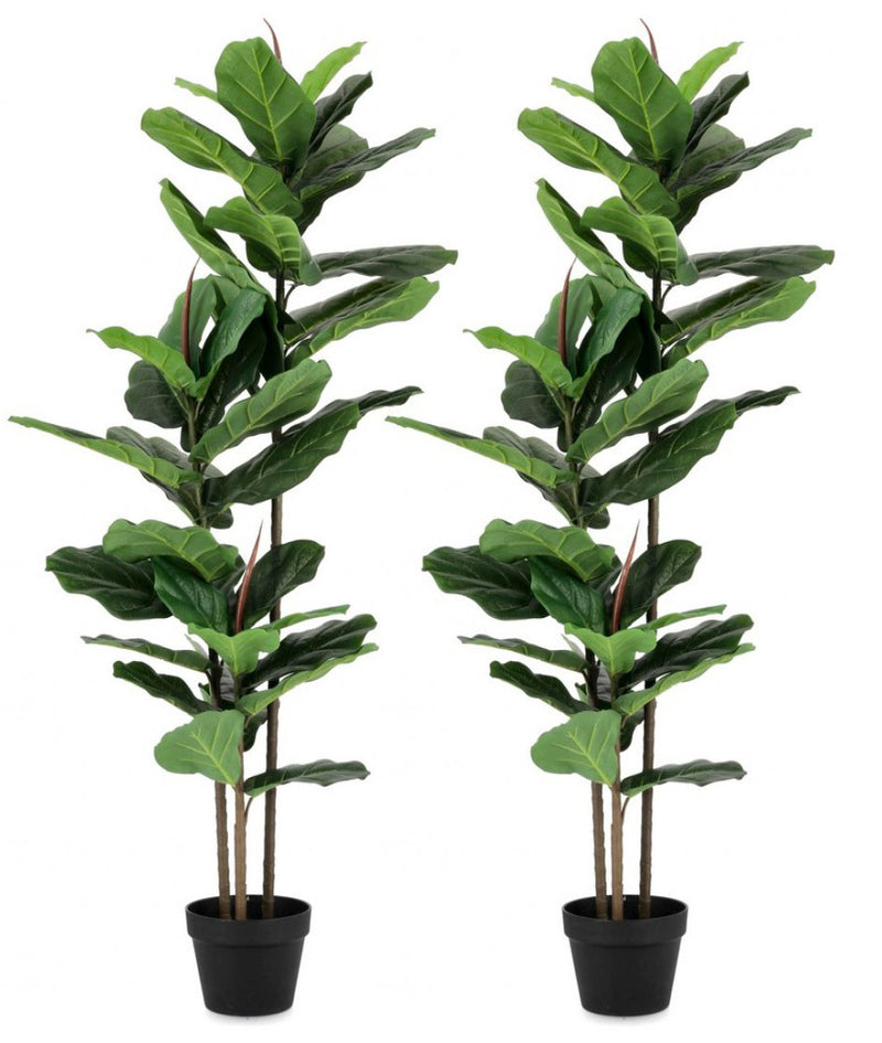 Set 2 Piante Artificiali con Vaso 100x60x145 cm Ficus Lyrata in Plastica-1