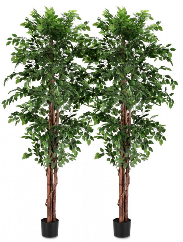 acquista Set 2 Piante Artificiali con Vaso Ø 90x210 cm Ficus in Plastica