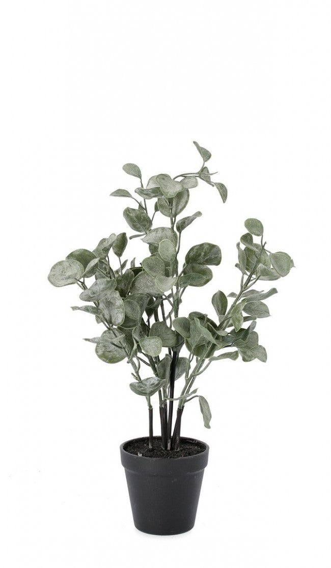 Pianta Artificiale di Eucalipto Ø28x40 cm in Plastica con Vaso Verde –  acquista su Giordano Shop