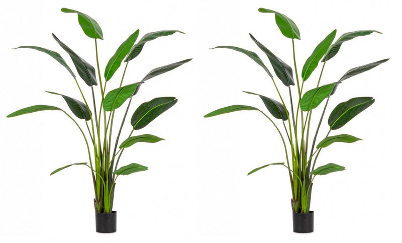 Set 2 Piante Artificiali Strelitzia 120x100x235 cm in Plastica con Vasi Verde-1