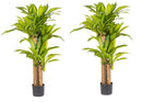 Set 2 Piante Artificiali Dracaena Ø100x130 cm in Plastica con Vasi Verde-1