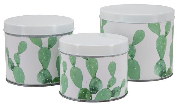 sconto Cofanetti in Latta Cactus Set 3 Pz Ø15x13,5-14x11,5-12,5x10 cm in Ferro Bianco, Verde