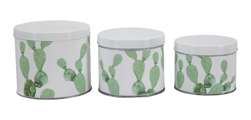 Cofanetti in Latta Cactus Set 3 Pz Ø15x13,5-14x11,5-12,5x10 cm in Ferro Bianco, Verde-2