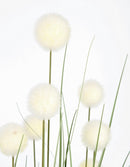 Set 6 Piante Artificiali con Vaso Ø 45x110 cm Eriophorum in Plastica Bianco-2