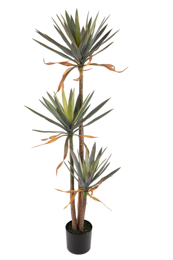 acquista Pianta Artificiale di Yucca in Vaso con 3 Diramazioni Altezza 170 cm Verde