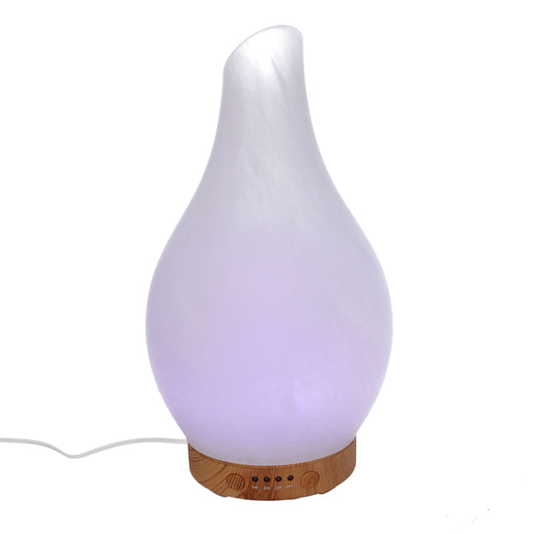 online Diffusore in vetro con spina cm Ø13,2xh24,8