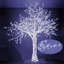 Albero di Natale Luminoso con 2832 Led Bianco Freddo 300xH300cm Adami Ciliegio-1