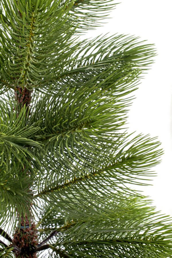 Albero di Natale Artificiale Adami Grivola Verde Altezza 180 cm-3