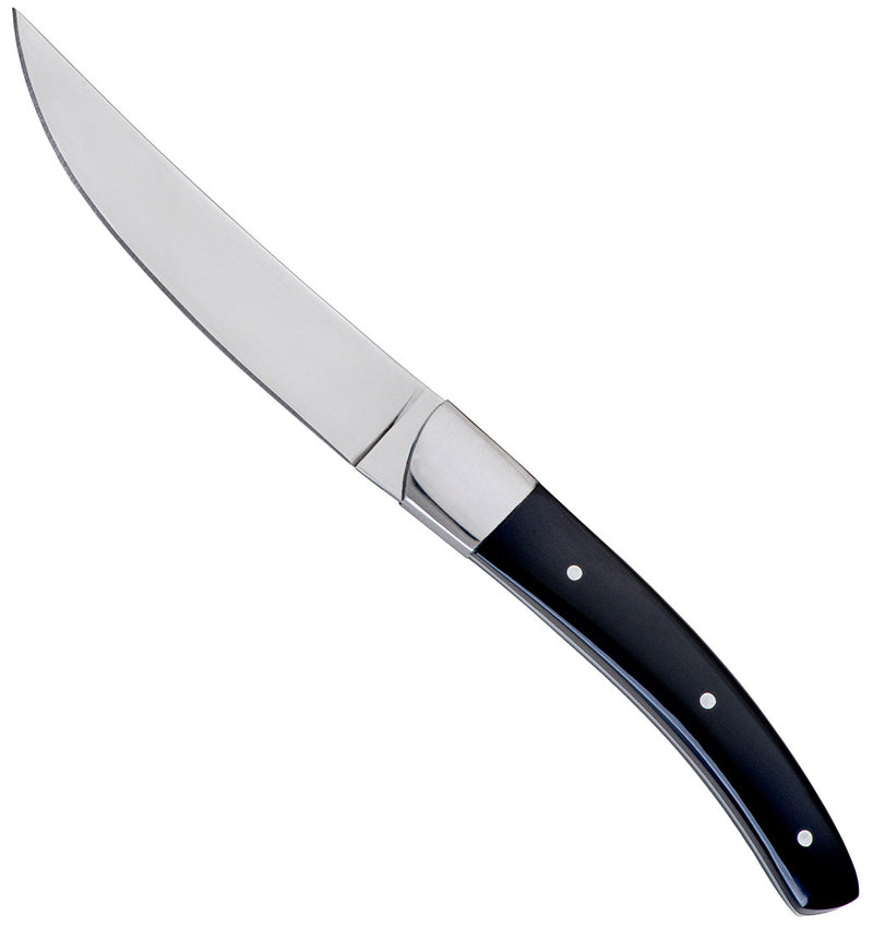 Coltello Tavola lama liscia Coltelli da cucina, Manico in plastica