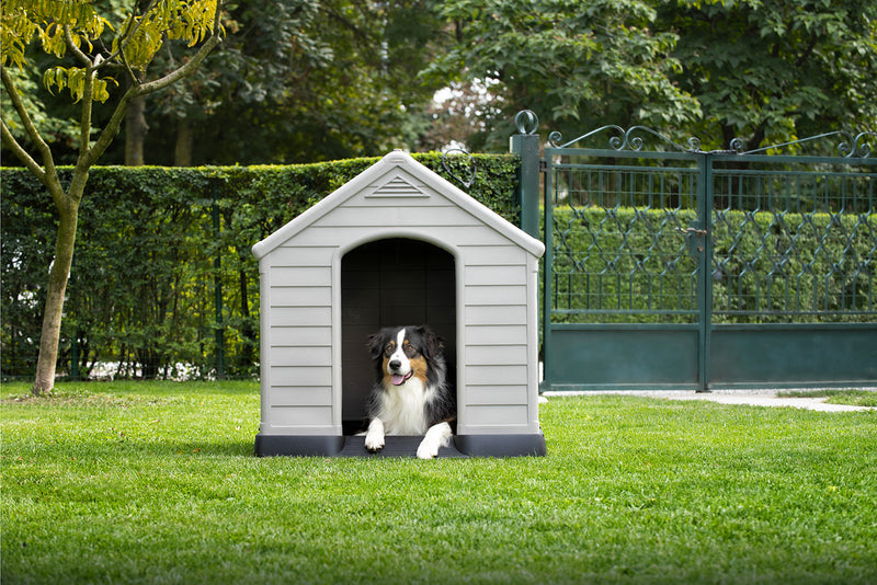 Cuccia per cani da esterno in resina - Dog House Keter