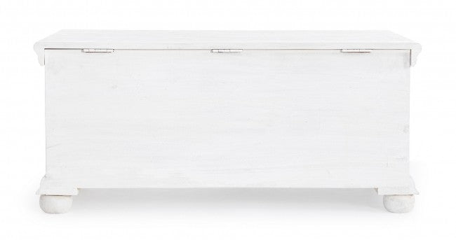 Cassapanca Baule Rettangolare 100x50x45 cm in Legno Bianco-4