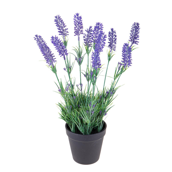 online Set 2 Lavanda Artificiale in Vaso Altezza 38 cm Viola