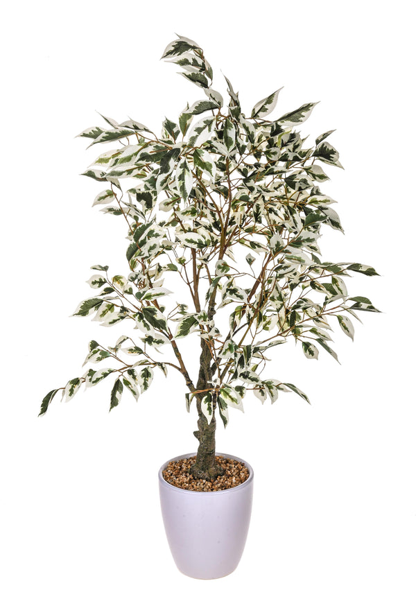 Ficus Artificiale con Vaso Altezza 70 cm acquista