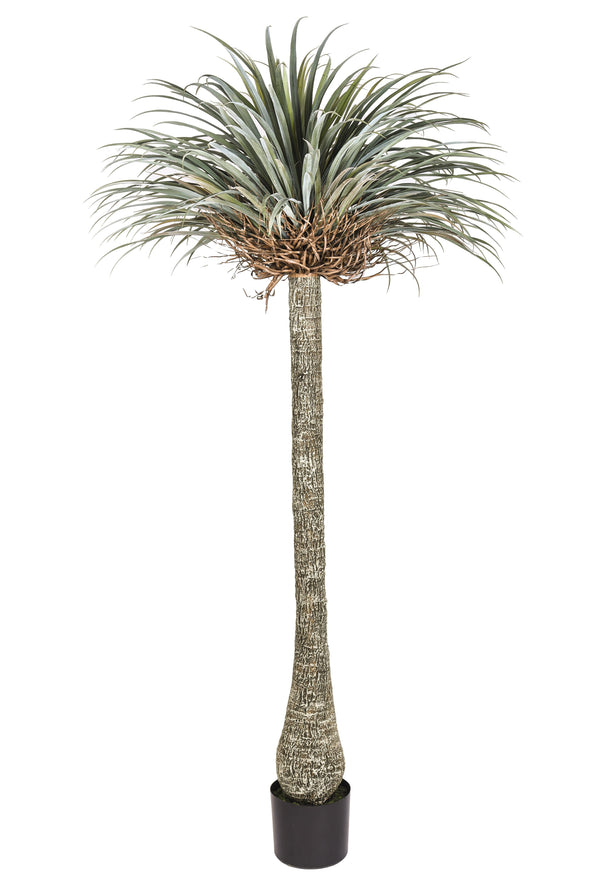 acquista Yucca Artificiale con Vaso Altezza 225 cm