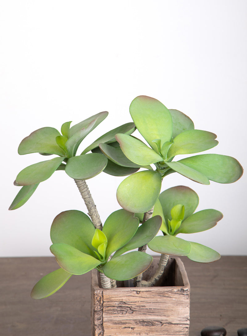 Succulent Artificiale con 2 Diramazioni Altezza 35 cm Verde-4