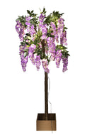 Glicine Artificiale ad Uso interno con Led Altezza 170 cm Viola-1