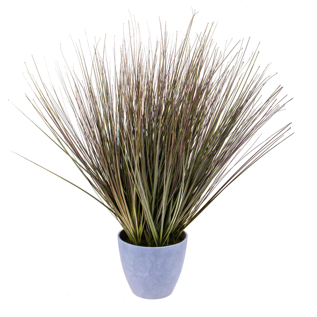 Pianta Artificiale di Festuca Glauca con Vaso H.175 cm Verde – acquista su  Giordano Shop