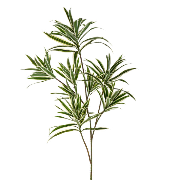 Set 3 Dracena con 141 Foglie Artificiali Altezza 84 cm Verde sconto