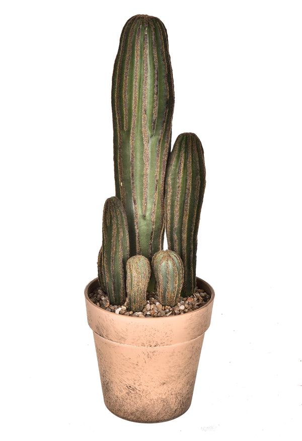 Set 2 Pianta di Cactus Artificiale con Vaso Altezza 24 cm Verde sconto