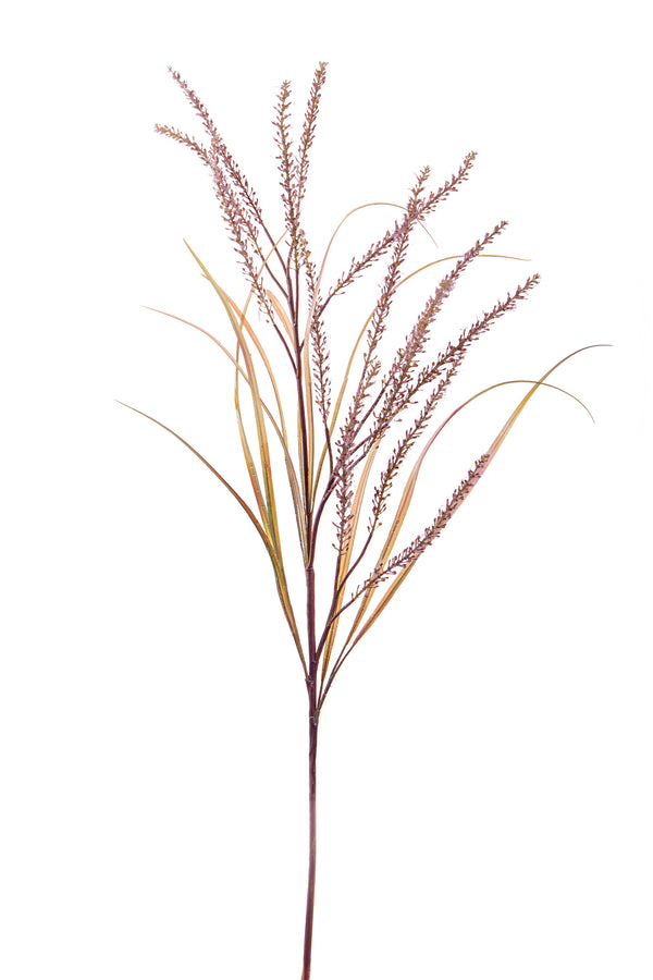 Set 2 Pennisetum Artificiali con 14 Diramazioni Altezza 130 cm Marrone acquista