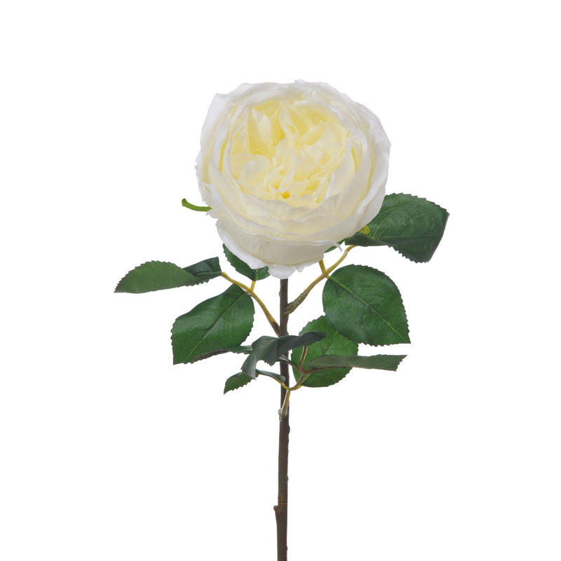 2 Rose Artificiali Cabbage Altezza 49 cm Bianco-1