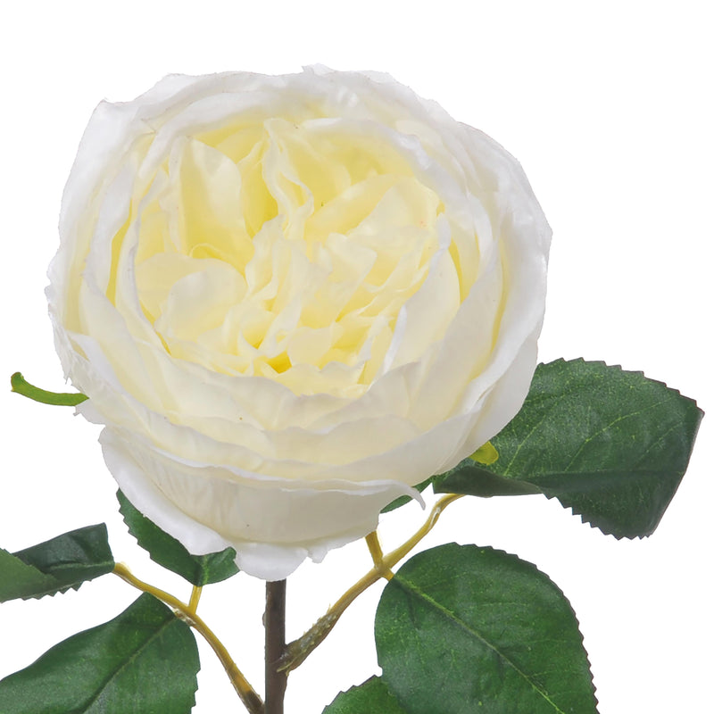 2 Rose Artificiali Cabbage Altezza 49 cm Bianco-3