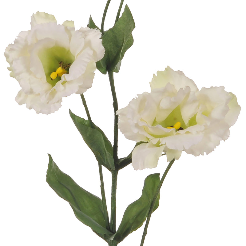 2 Lisianthus Artificiali Composto da 3 Fiori Altezza 82 cm Bianco-3