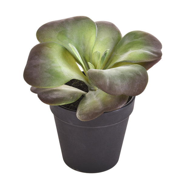 Set 2 Kalanchoe Succulent Artificiale con Vaso Altezza 16,5 cm Verde sconto