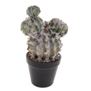 Pianta di Cactus Artificiale con Vaso Altezza 28 cm -1