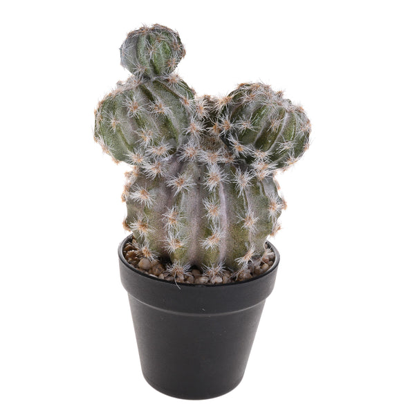 Pianta di Cactus Artificiale con Vaso Altezza 28 cm sconto