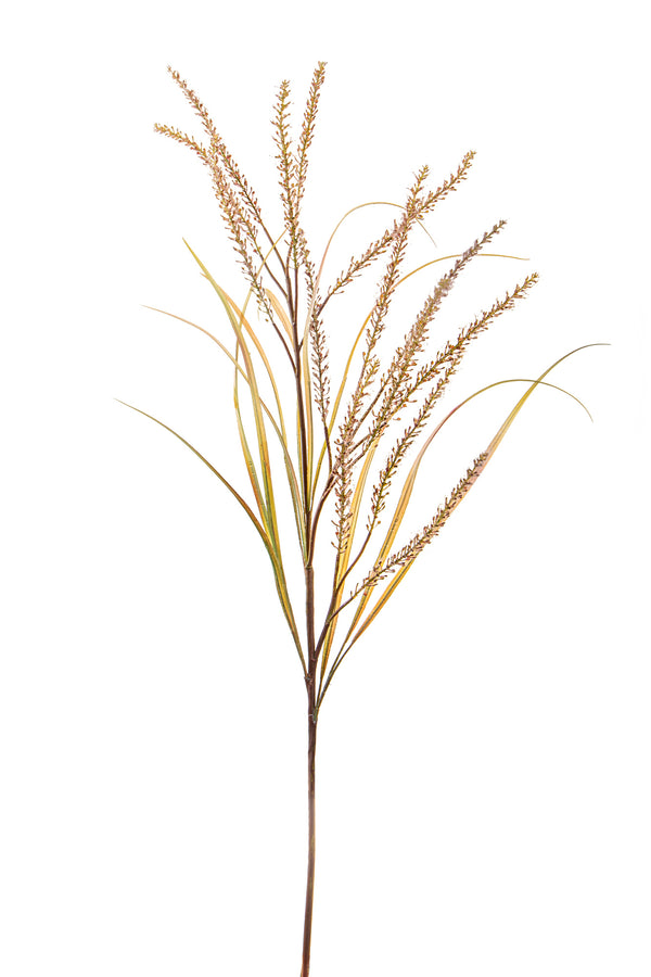 Set 2 Pennisetum Artificiali con 14 Diramazioni Altezza 130 cm Beige prezzo