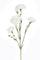 Set 6 Fiori Artificiali di Garofanello Altezza 62 cm Bianco