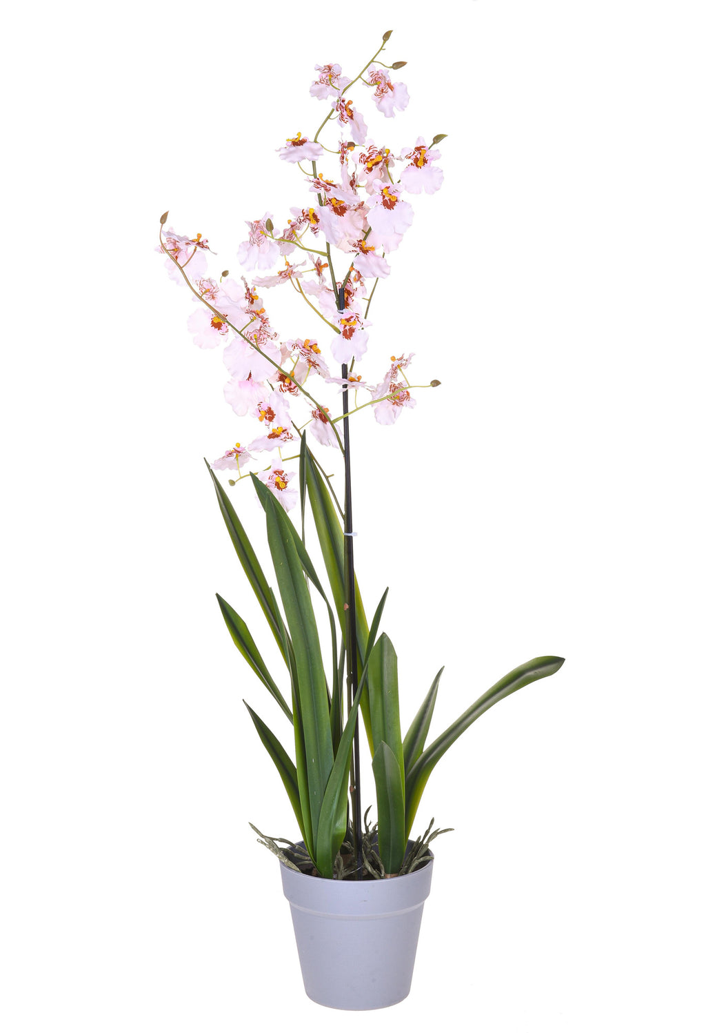 Orchidea Artificiali con Vaso Altezza 43 cm Bianco – acquista su Giordano  Shop