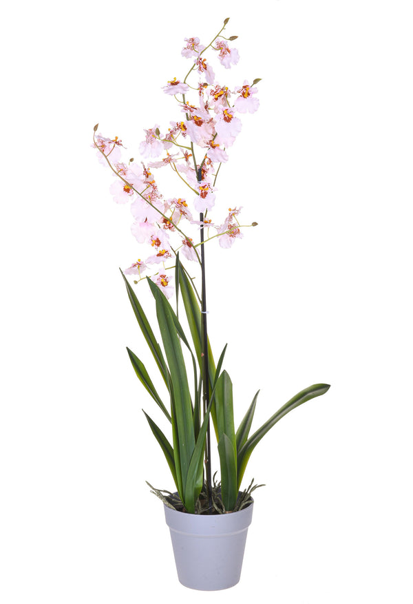 Orchidea Artificiali Oncidium con Vaso Altezza 40 cm Rosa online