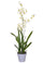 Orchidea Artificiali Oncidium con Vaso Altezza 40 cm Bianco