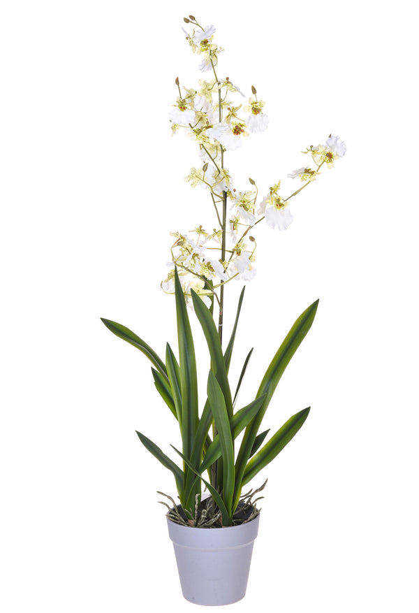 Orchidea Artificiali Oncidium con Vaso Altezza 40 cm Bianco acquista