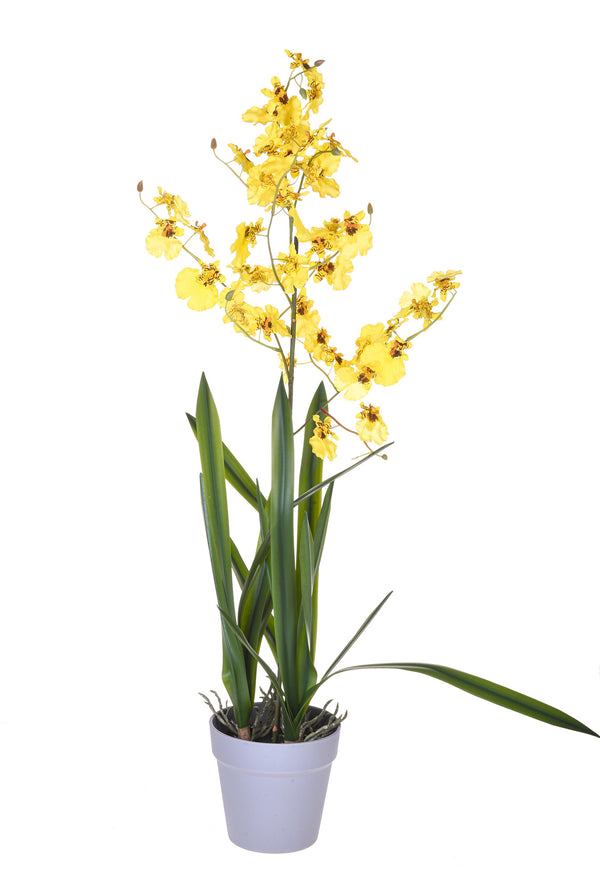 Orchidea Artificiali Oncidium con Vaso Altezza 40 cm Giallo sconto