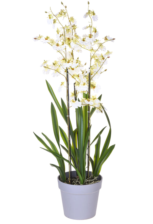 Orchidea Artificiali Oncidium a 3 Diramazioni con Vaso Altezza 45 cm Bianco acquista