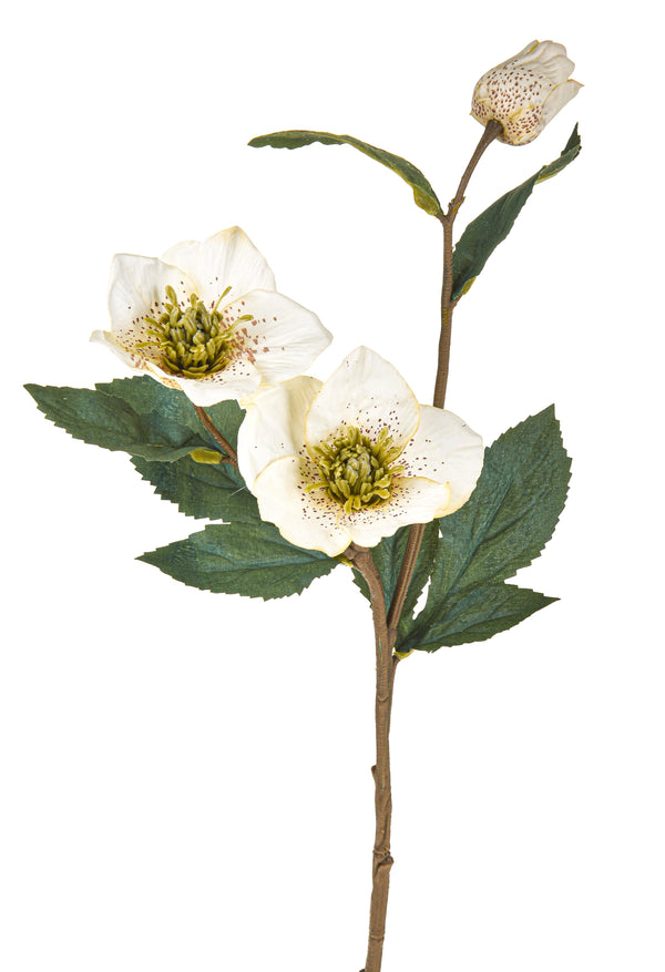 online Set 12 Pianta Artificiale di Helleborus Rosa Altezza 56 cm Bianco