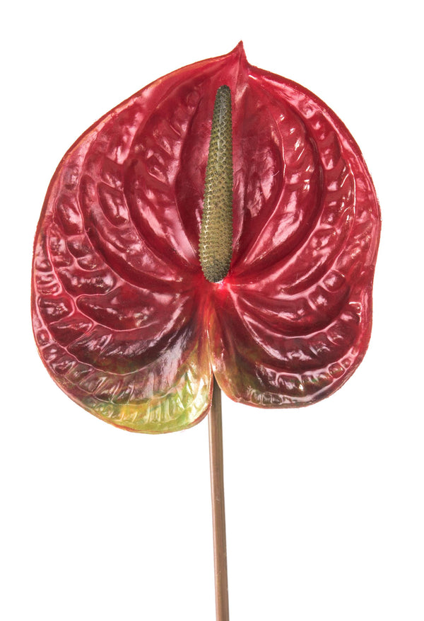 Set 6 Fiori Artificiali di Anthurium Altezza 70 cm Rosso acquista