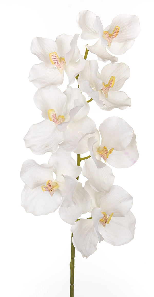 prezzo Set 3 Orchidea Artificiali Vanda Altezza 100 cm Bianco