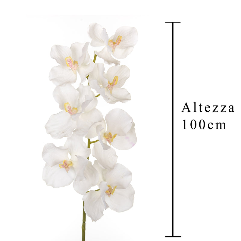 2 Orchidea Artificiali Vanda Altezza 100 cm Bianco-2