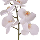 Phalenopsis Artificiali con 9 Fiori Altezza 110 cm Bianco-3