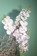 Phalenopsis Artificiali con 9 Fiori Altezza 110 cm Bianco-4